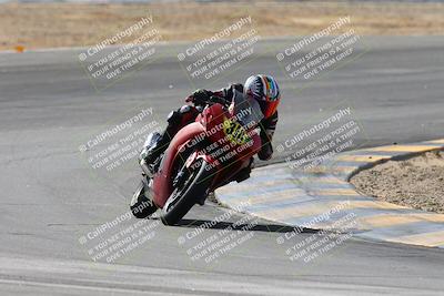 media/Feb-07-2025-CVMA Friday Practice (Fri) [[7034960ba2]]/4-Racer 4/Session 3 (Turn 8)/